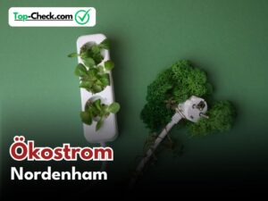 Ökostromtarif_Vergleich_Nordenham