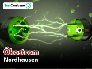 Ökostromtarife_Nordhausen