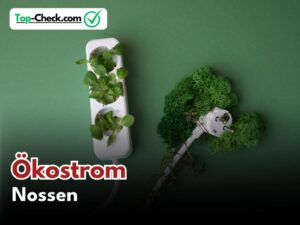 Ökostromtarife_Nossen