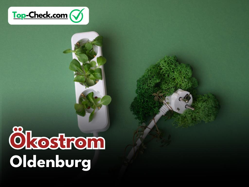 Ökostromtarife_Oldenburg