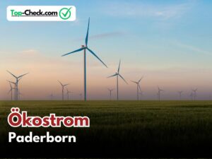 Ökostromtarife_Paderborn