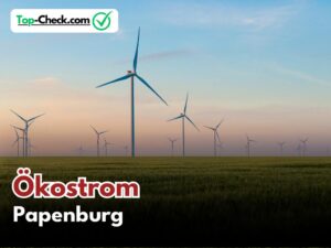 Ökostromtarif_Papenburg