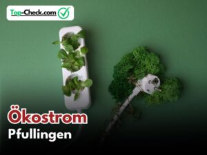 Ökostromtarife_Pfullingen