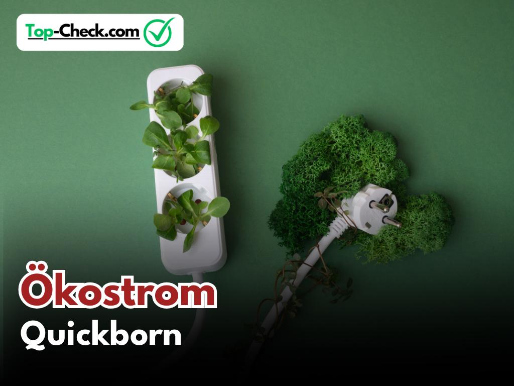 Ökostromtarife_Quickborn