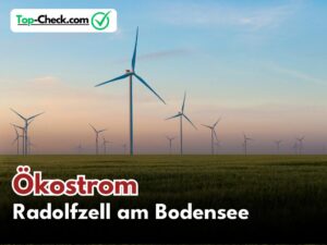 Ökostromtarife_Radolfzell