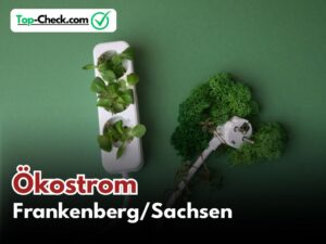 Ökostromtarife_Frankenberg/Sachsen