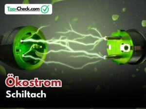 Ökostromtarif_Vergleich_Schiltach