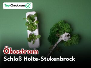 Ökostromtarif_Schloß_Holte-Stukenbrock