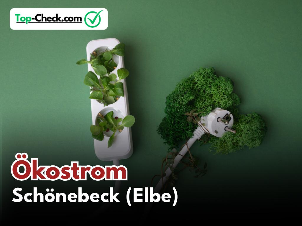 Ökostromtarife_Schönebeck_(Elbe)