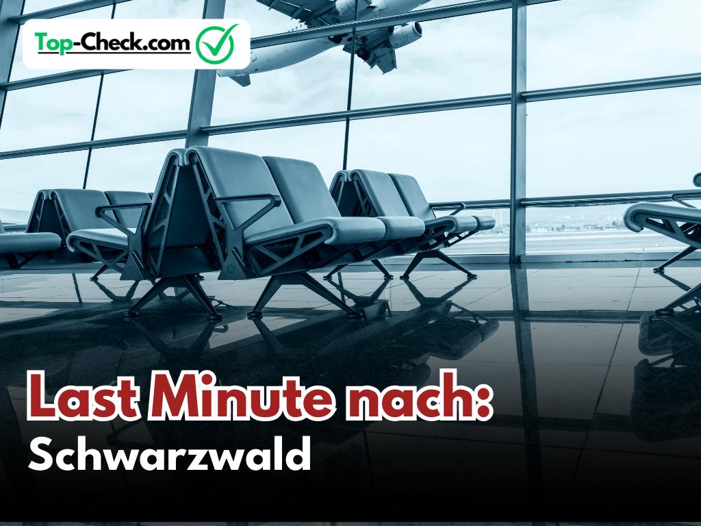 Last_Minute_Reisen_Schwarzwald