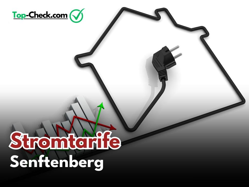 Stromtarifvergleich_Senftenberg