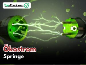 Ökostromtarife_Springe