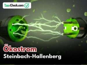 Ökostromtarif_Steinbach-Hallenberg