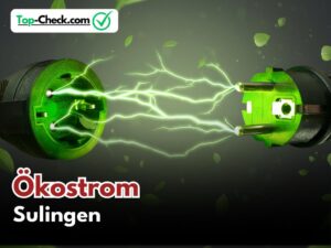 Ökostromtarif_Vergleich_Sulingen