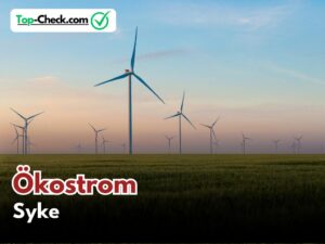 Ökostromtarif_Vergleich_Syke