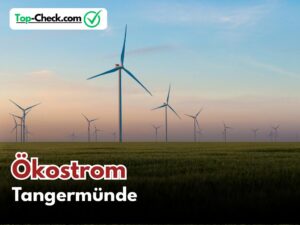 Ökostromtarife_Tangermünde