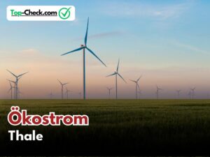 Ökostromtarif_Vergleich_Thale