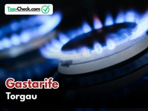 Gastarifvergleich_Torgau