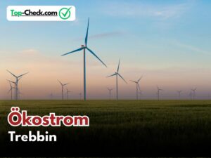 Ökostromtarif_Vergleich_Trebbin