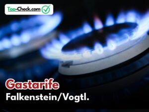 Gastarifvergleich_Falkenstein/Vogtl.