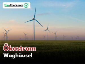 Ökostromtarif_Waghäusel