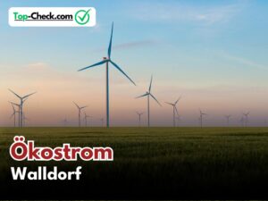 Ökostromtarif_Vergleich_Walldorf