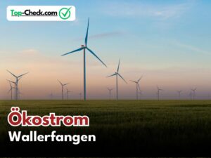 Ökostromtarife_Wallerfangen