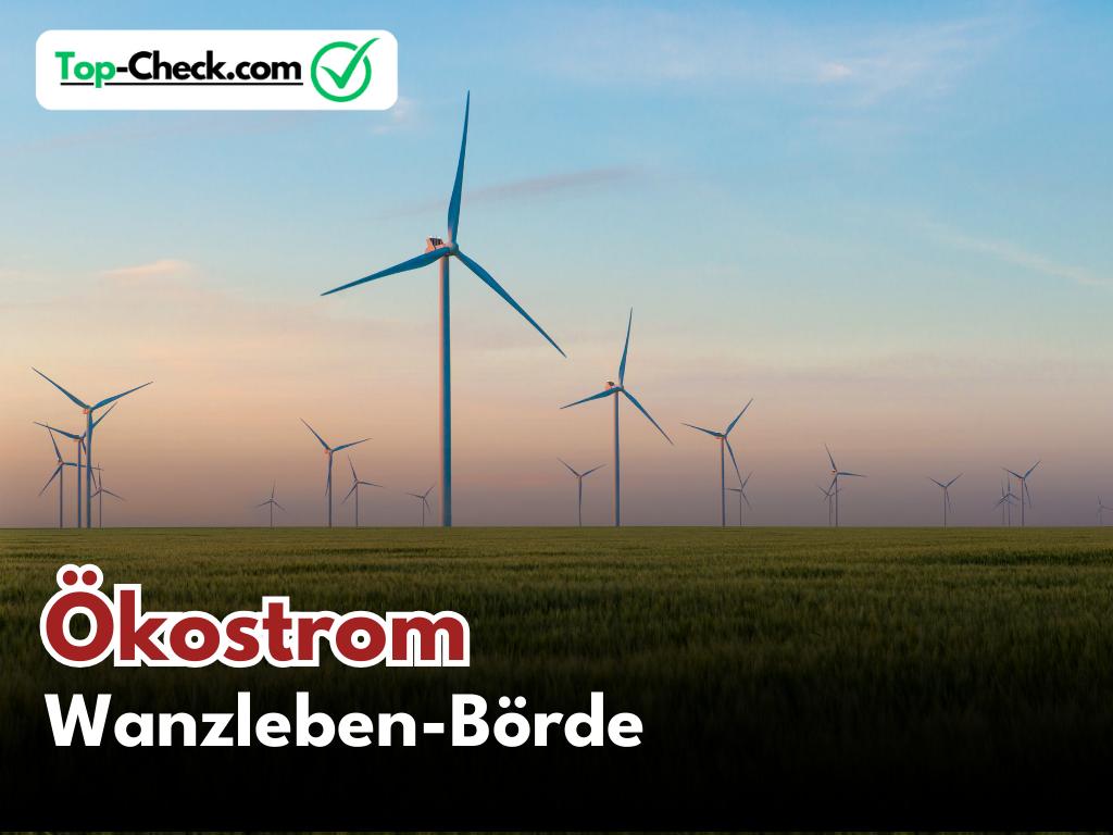 Ökostromtarife_Wanzleben-Börde