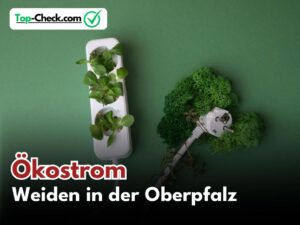 Ökostromtarife_Weiden