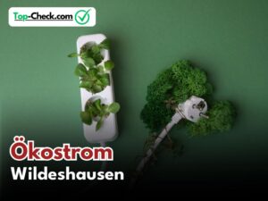 Ökostromtarife_Wildeshausen