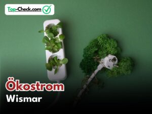 Ökostromtarife_Wismar