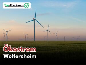 Ökostromtarife_Wolfersheim