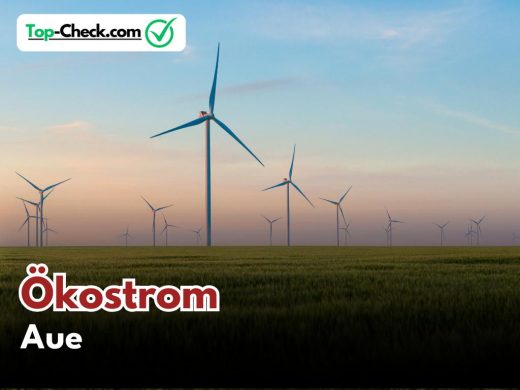 Ökostromtarife_Aue
