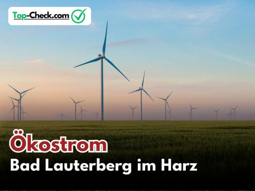 Ökostromtarife_Bad_Lauterberg