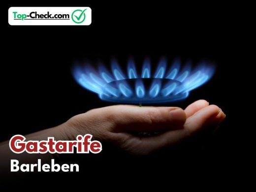 Gastarifvergleich_Barleben
