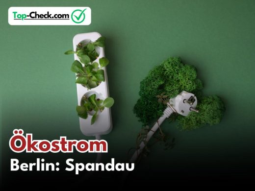 Ökostromtarife_Berlin-Spandau