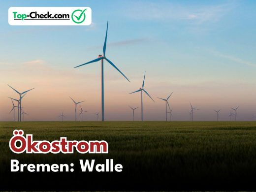 Ökostromtarife_Bremen-Walle