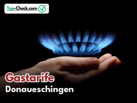 Gastarifvergleich_Donaueschingen
