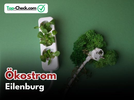 Ökostromtarife_Eilenburg