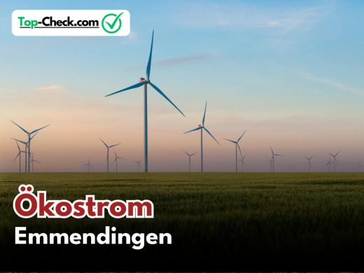 Ökostromtarife_Emmendingen