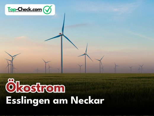 Ökostromtarife_Esslingen_am_Neckar