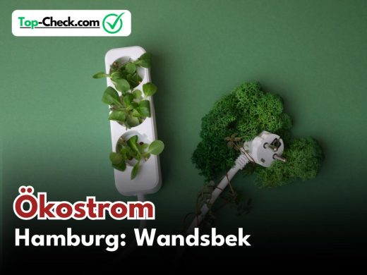 Ökostromtarif_Vergleich_Hamburg-Wandsbek