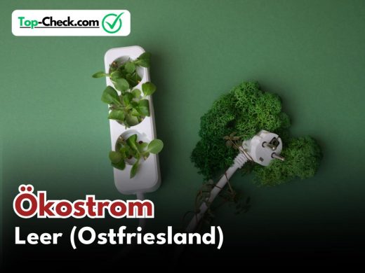 Ökostromtarif_Vergleich_Leer