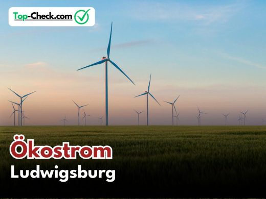 Ökostromtarife_Ludwigsburg