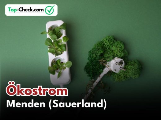 Ökostromtarife_Menden