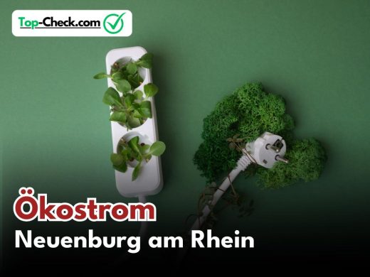 Ökostromtarife_Neuenburg_am_Rhein