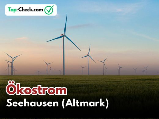 Ökostromtarife_Seehausen_(Altmark)