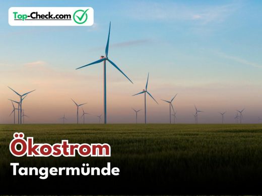 Ökostromtarife_Tangermünde