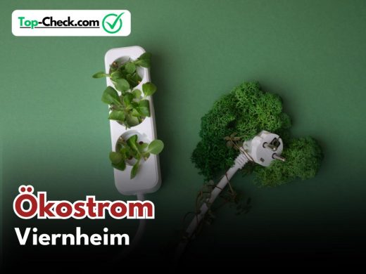 Ökostromtarife_Viernheim