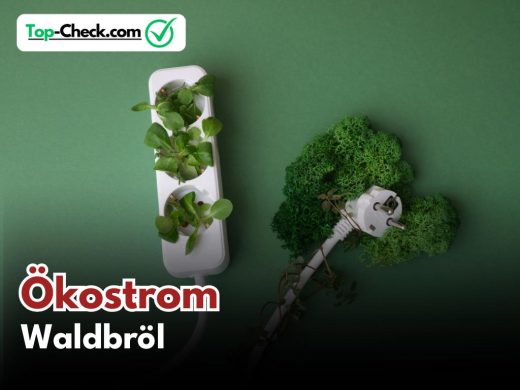 Ökostromtarife_Waldbröl